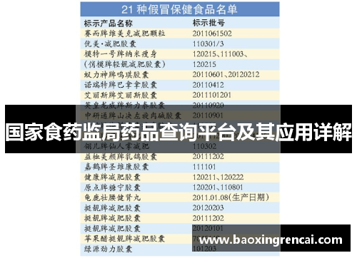 国家食药监局药品查询平台及其应用详解