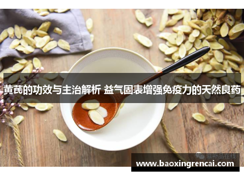 黄芪的功效与主治解析 益气固表增强免疫力的天然良药