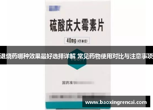 退烧药哪种效果最好选择详解 常见药物使用对比与注意事项